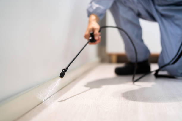 Licensed Pest Control service in Manti, UT - Show Me Pest Control