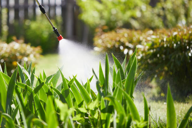 24/7 Emergency Ant Control experts in Manti, UT